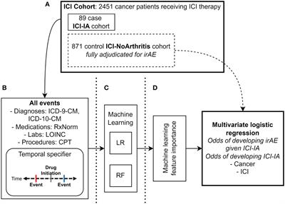 Rapid identification of inflammatory arthritis and associated adverse events following immune checkpoint therapy: a machine learning approach